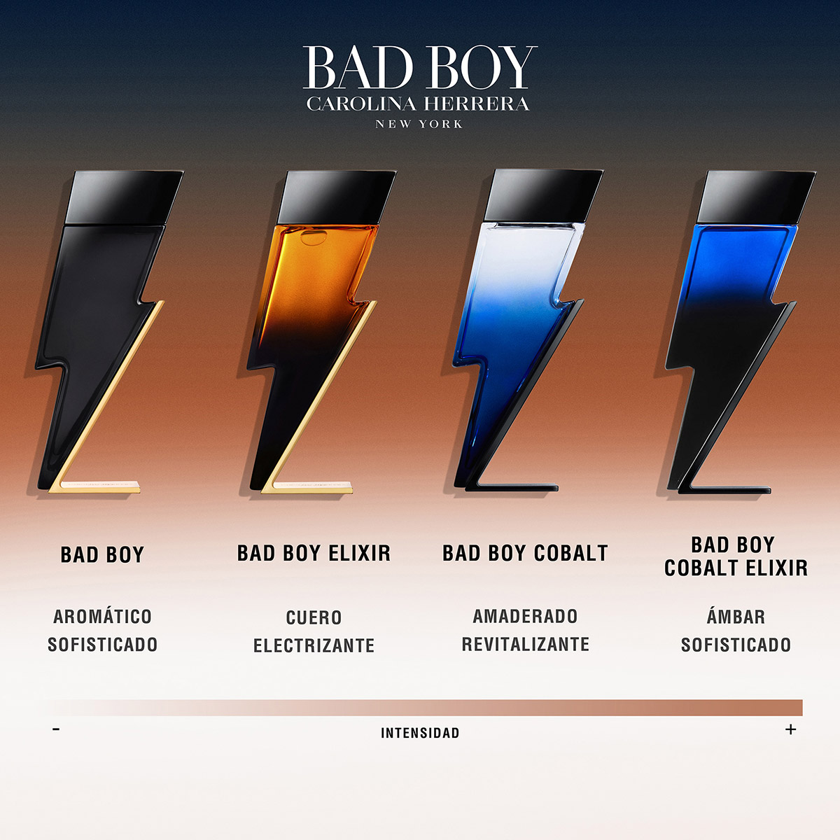 BAD BOY SET EAU DE TOILETTE